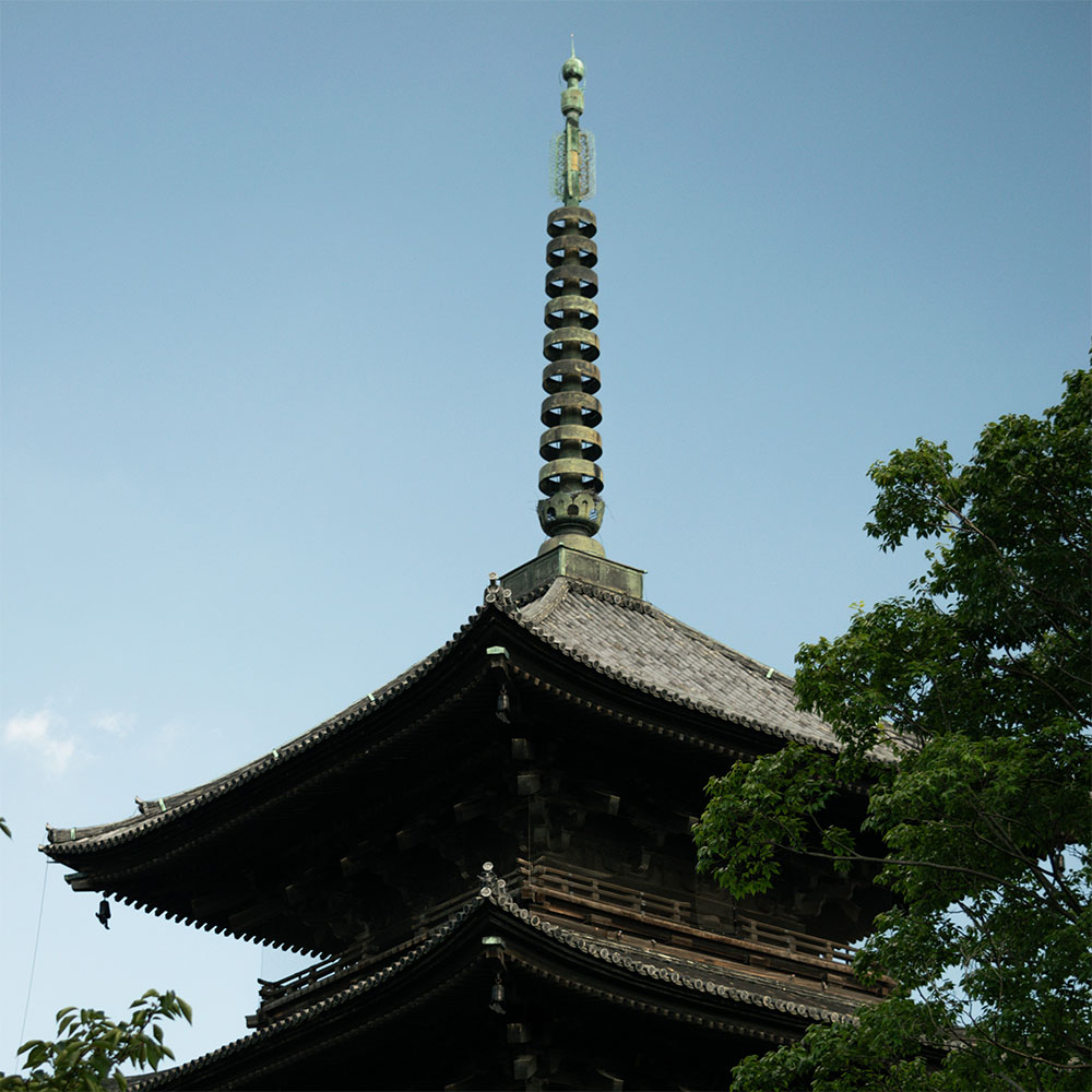 Photography Project Image